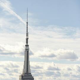 AMNESTY INTERNATIONAL